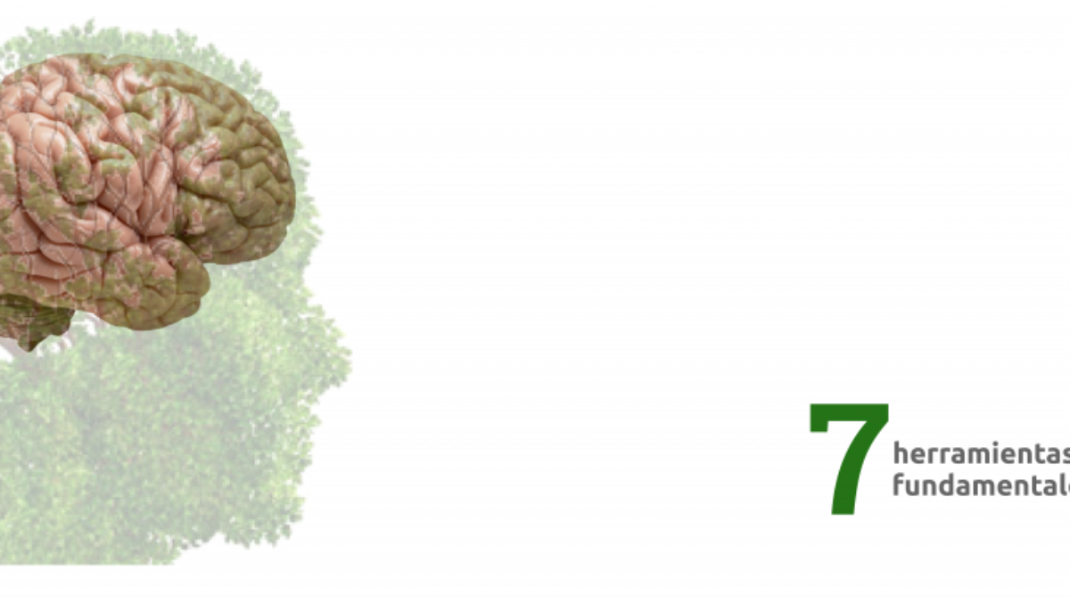 1Banner Shsalud - Untitled Page (1)